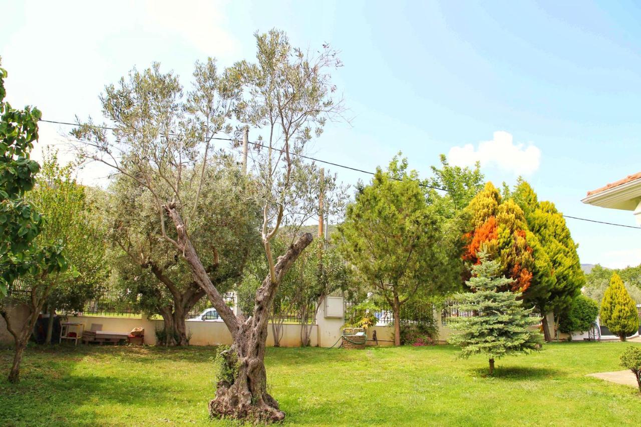 ☆olive Garden Villa☆ --nea Iraklitsa-- Villa Nea Iraklitsa