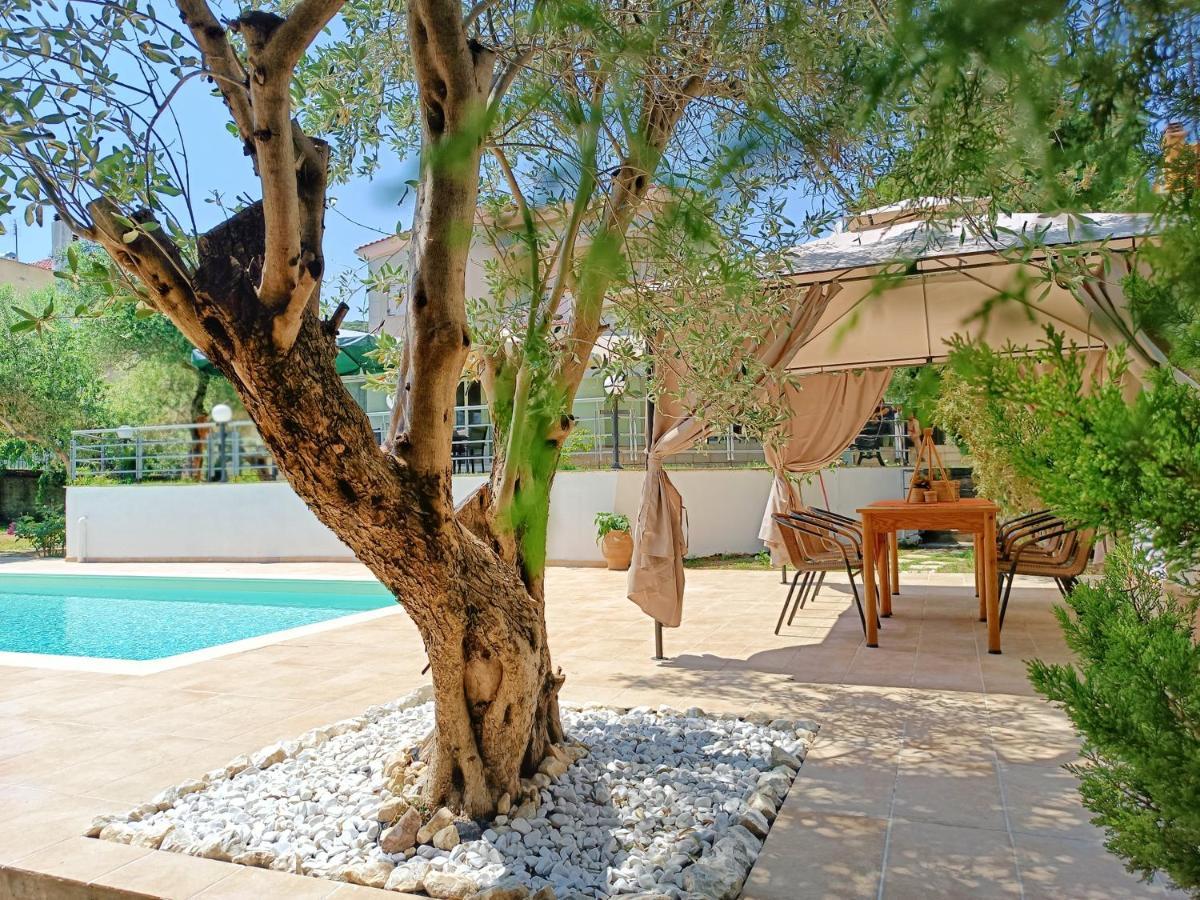 Villa ☆olive Garden Villa☆ --nea Iraklitsa-- *